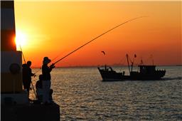 霞光入海钓金秋2