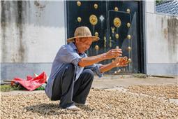 丰收的喜悦