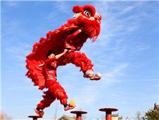 雄狮天降
