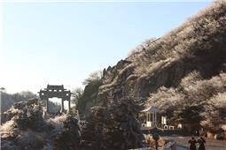 疫情中的泰山
