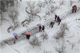校园初雪