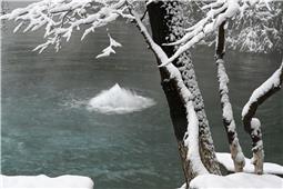 雪日龙泉
