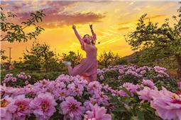 花季