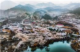 山村入画