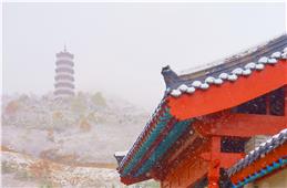 冬雪