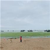 海边的童年