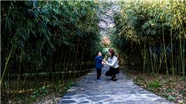 母子情