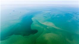 黄河入海  汹涌澎湃