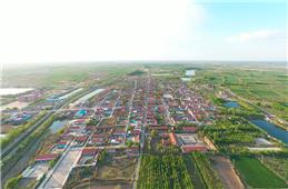 黄河口农村新貌