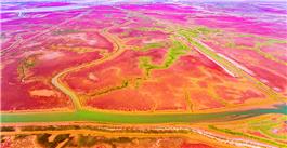 黄河入海口大美湿地