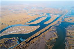 黄河口湿地风光
