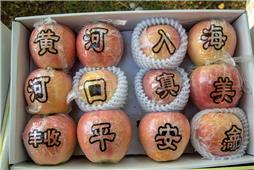 黄河入海  大美河口