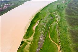 黄河口两岸新绿