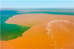 河海交汇·黄蓝共舞