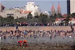 休闲的前海一线