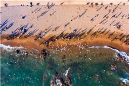 沙滩游人海鸥飞