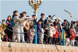 游人海鸥共欢乐