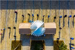 核酸检测之光影