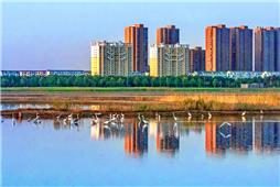 《晨光里的和谐》