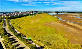 《潮汐湖湿地公园》