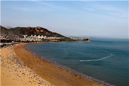 聚焦人与自然和谐共生的美丽青岛