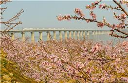 开往春天的动车