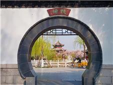 《大明湖》