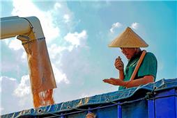 满足