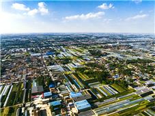 美丽乡村