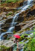 空山新雨后