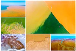 黄河入海 · 大美东营