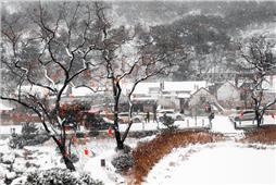山村初雪