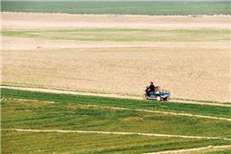 春风又吹到黄河滩
