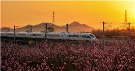 火车驶入桃花源