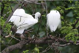 “夫妻携手”建乐园