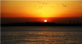 黄河夕照