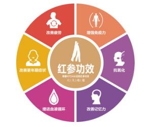 恩珍源红参助力首届中韩人参研讨会在沪召开 恩珍源红参助力首届中韩人参研讨会在沪召开