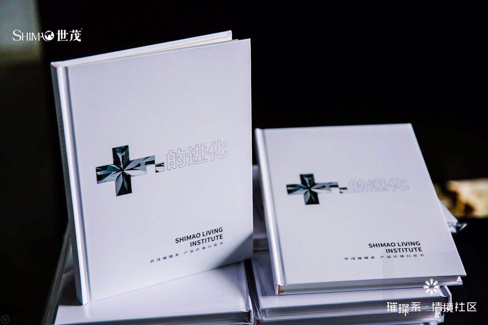 ȫ׷оӢײסƤ飬ïϵʱ