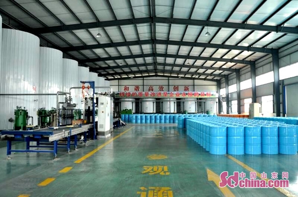 卡松科技:抢抓新旧动能转换新机遇 走终端路线