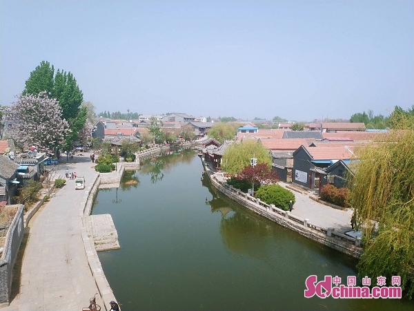 漫步在南阳岛,岛上小街窄且弯,数条石板小路把熙熙攘攘的人流一直拉到河岸上。镇政府,医院、学校都在这条小街上,商店、客店等社会服务设施一应俱全。天色未明,湖上渔村来赶集的船儿,便泊满了岸边。集市虽小却品类齐全,日用百货、生产物资、鲜鱼嫩蟹、地方名吃等应有尽有。往返于古镇小街、渔家宅落,门前铺有荷叶,十张数十张,一片翠色。天还很早,在半明曙色里,小街上闪动着灯盏,人影,野鸭子摆在了荷叶上。太阳升起来,阳光明丽,照耀着半条小街。