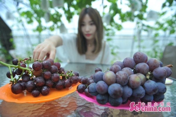 山東時尚服裝價錢查詢（山東服裝官網）