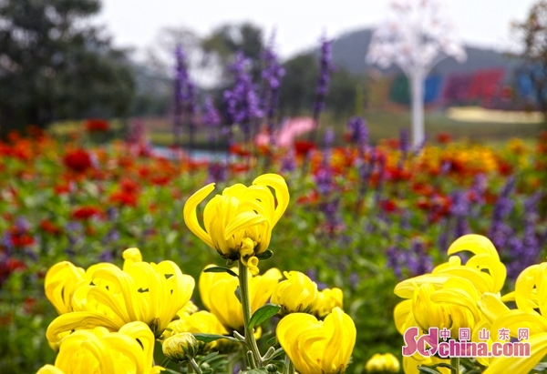 真幻4重製《細靈寶可夢：水白》新演示 遊戲免費開放下載