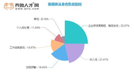聚焦时代脉搏：探析新的社会阶层人士新角色与使命