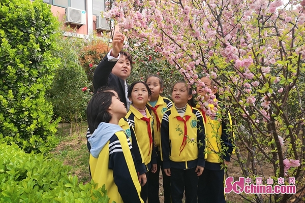 青岛通济实验学校小学部举行首届最美教师颁