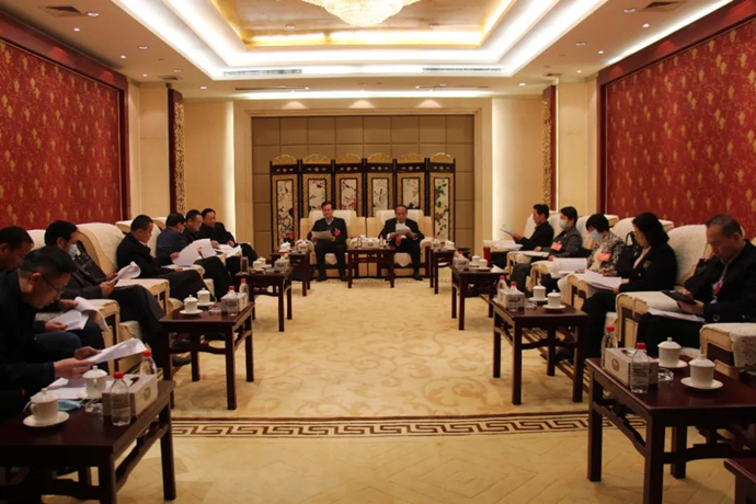 市十九届人大六次会议举行议案审查委员会会议