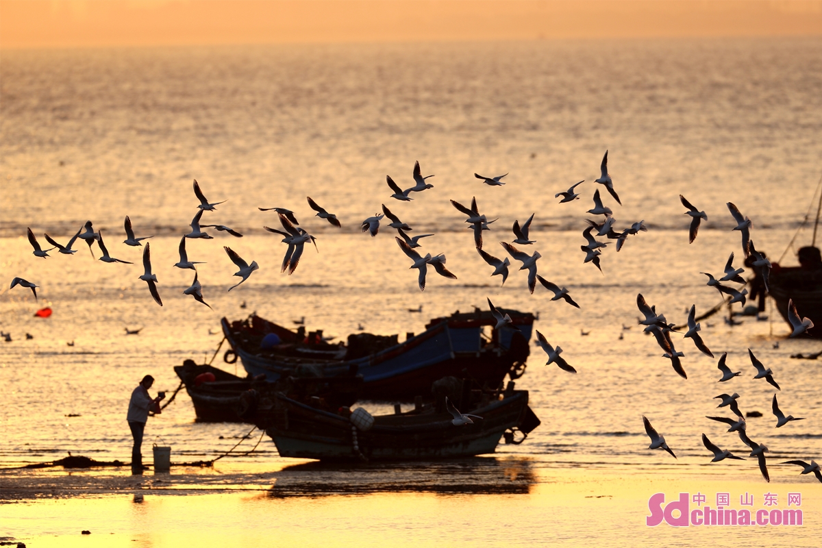 Photo taken on Nov. 27, 2021 shows the picturesque scenery of the seashore of Gujia Island in Qingdao, China&rsquo;s Shandong province. (Photo by Han Jiajun)<br/>
