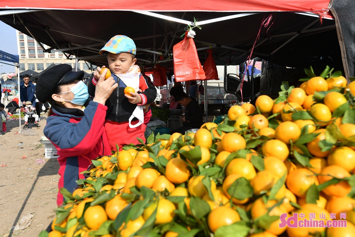 <br/>　　消费者在青岛市城阳区上马街道渔村大集上选购鲜橙