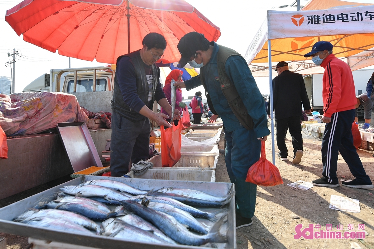 <br/>　　消费者在青岛市城阳区上马街道渔村大集上选购地产鲅鱼<br/>