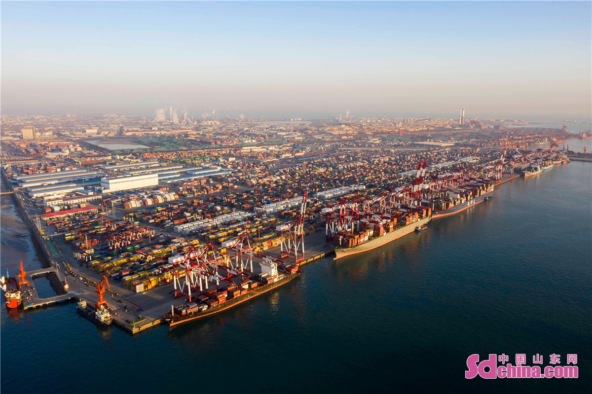  <br/>　　2021年12月31日清晨，山东港口青岛港前湾集装箱码头各个泊位上的集装箱船正在有序地装卸集装箱，港口一片繁忙景象。<br/>