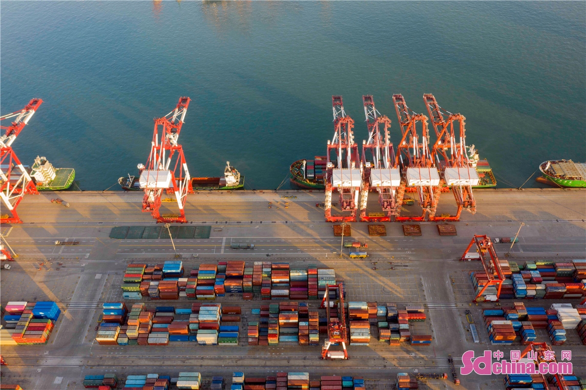 <br/>　　2021年12月31日清晨，山东港口青岛港前湾集装箱码头各个泊位上的集装箱船正在有序地装卸集装箱，港口一片繁忙景象。<br/>